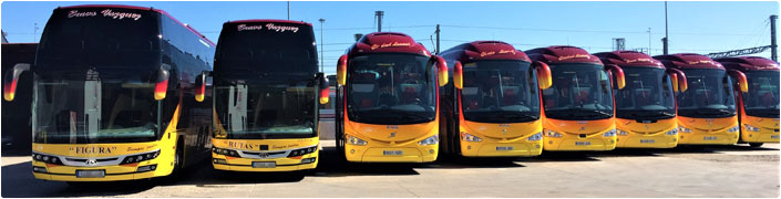 flota-autocares